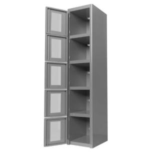 ClearSafe 5: Locker Metálico con Puertas de Acrílico de 5 Compartimentos