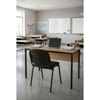 Silla Maestro Clase Ejecutiva